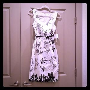 Black and White Dress NWT